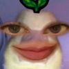 adrianvj3
