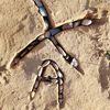 mohamed.amine6154