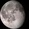 artemis.ashrafi