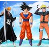 animan3311