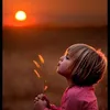 naser.alrawy