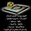 user8565334650434