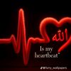 gul.pari68