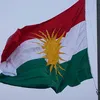 null.1133