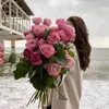 user16102133902777