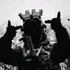 darkhere2.0