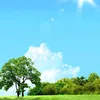 kadhem.alasady