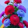 user8709506063186