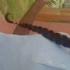 nohemy_464