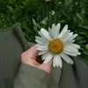 m1769435