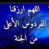 user7810888316291