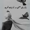 user8813684591808