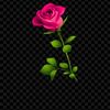 user611826316680