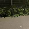 bonzo_82