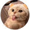 appleuser6983472