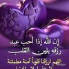 esselahmed6