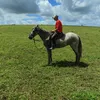 daniel.daniel5852