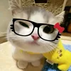miyxinggail