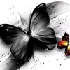 amal.ebrahim237