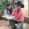 edson.faria01