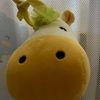 Funny animals886