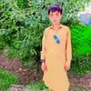 shaban5133
