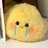 emye205
