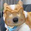 Funny pets002