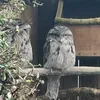 ajv_45
