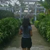 altheabuena3