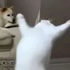 xyyzzsamz_