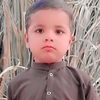 ramzanali29841