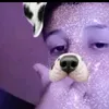 hisley_santtos