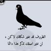 user1725281561606