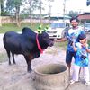 user5170368161730