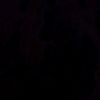 1user4454909728156