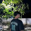 jian_qja