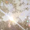 mistry_yeucaccauu08