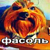 blya.fasol