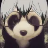 kiel_da_panda