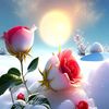 ma.thet463