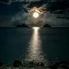 nur.ali496