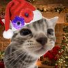 christmas_cat11