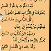 user5308377656543