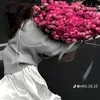 letrucanhdai11