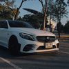 the daily w205