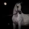 fares_q7t