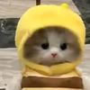 gatau_1234.10