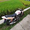 _pananakbaik