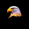 raaj_writers1